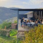 Private full-Day Tour to Douro Valley - What Makes This Tour Stand Out?