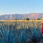 Private Full-Day Tour to Tequila Pueblo Magico - Who Will Love This Tour?