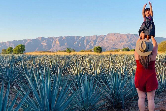 Private Full-Day Tour to Tequila Pueblo Magico - Who Will Love This Tour?