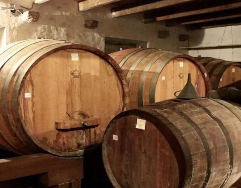 Private Full - Day Tour: Wine Tasting Tour to Peljesac - The Wine Cellar Visits and Tastings