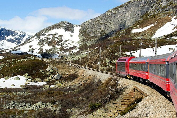 Private Full Day Trip From Oslo To Bergen with Sognefjord And Flam Railway - A Closer Look at the Itinerary