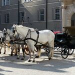 Private full day trip to Salzburg from Vienna - driver only - FAQs