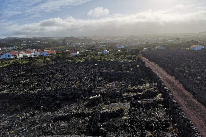 Private full day visit to Pico, a first impression - What Makes It Special