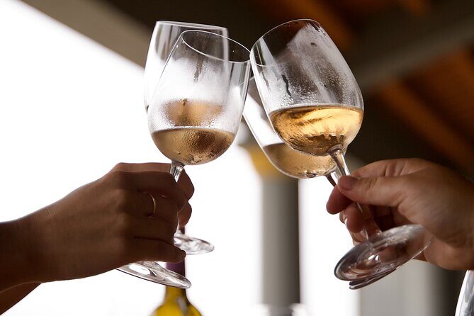 Private Full Day Wine Tasting Tour from Lisbon to Setubal - Exploring Fernao Po Adega Winery