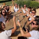 Private Full Day Wine Tour in Provence From Marseille cruise port - The Practical Details