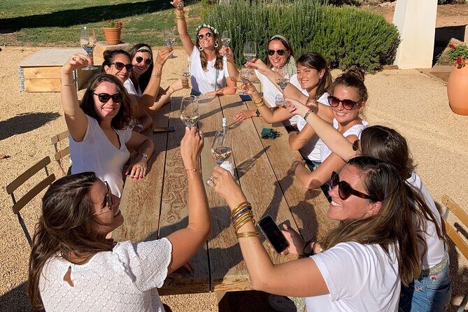 Private Full Day Wine Tour in Provence From Marseille cruise port - The Practical Details