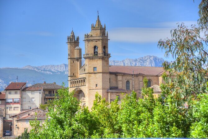 Private Full Day Wine Tour in Rioja - Practical Details