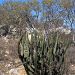 PRIVATE Fun Hiking Tour with Awesome Views - What You Can Expect from the Hike