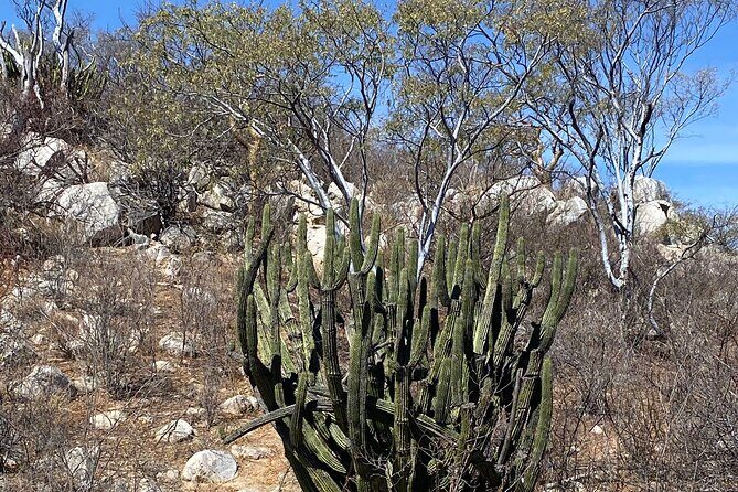 PRIVATE Fun Hiking Tour with Awesome Views - What You Can Expect from the Hike