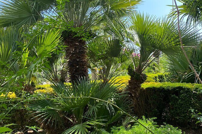 Private Game of Thrones Tour with King's Landing Garden - What to Expect: Transportation, Timing, and Value