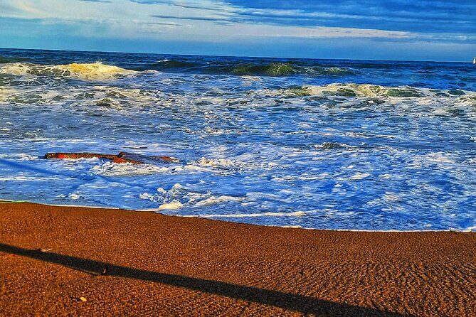 Private Gastronomic Tour in the City of Condal Barcelona - The Value of the Experience