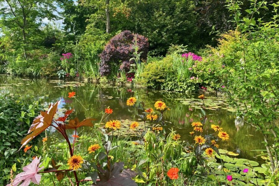 Private Giverny Half-day Trip from Paris by Mercedes - What’s Included and What’s Not