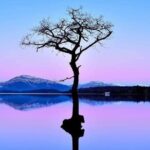 Private Glencoe and Loch Lomond Tour - What Travelers Say