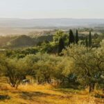 Private Golf Cart Tour of Florence Hills with Photo Stops - The Itinerary Breakdown