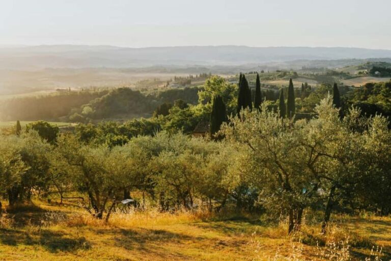 Private Golf Cart Tour of Florence Hills with Photo Stops - The Itinerary Breakdown