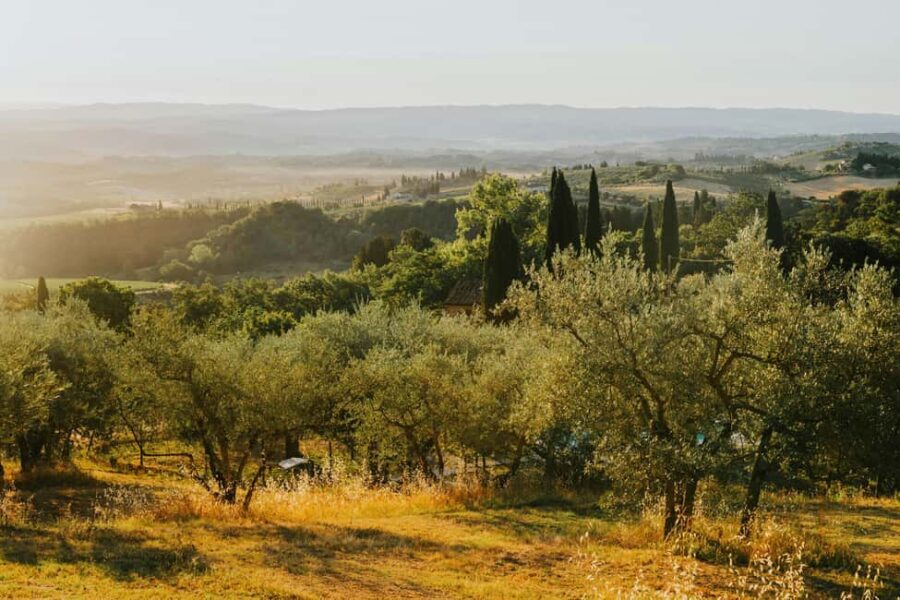 Private Golf Cart Tour of Florence Hills with Photo Stops - The Itinerary Breakdown