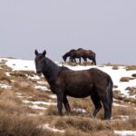 Private Granada Tour in Sierra Nevadas Summits - Who Is This Tour Best For?