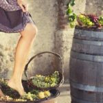Private Grape stomping at Chianti Farmhouse - The Practical Details