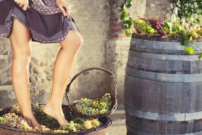 Private Grape stomping at Chianti Farmhouse - The Practical Details