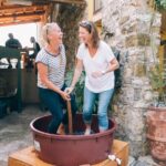 Private Grape stomping in Chianti from Siena - The Vineyard and Grape Stomping in Borgo di Vagliagli
