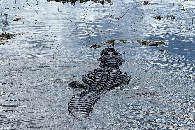 Private Guided Airboat Tour in Everglades, Fort Lauderdale - The Itinerary in Detail