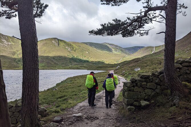 Private Guided Discovery Walk in the Cairngorms - Final Thoughts