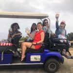 Private Guided Golf Cart Tour of Avalon - The Downsides: What to Keep in Mind