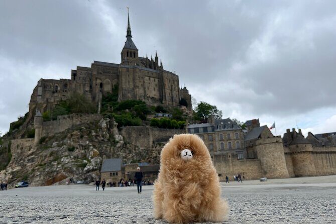 Private Guided Mont Saint Michel & D-day tour from Paris - Transport and Comfort