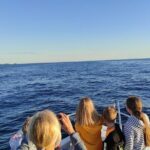 Private Guided Sunset Dolphin Watching in Adriatic Sea - The Itinerary and Experience