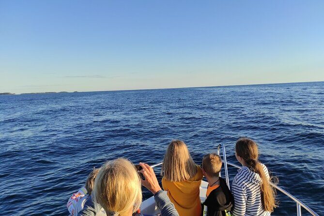 Private Guided Sunset Dolphin Watching in Adriatic Sea - The Itinerary and Experience