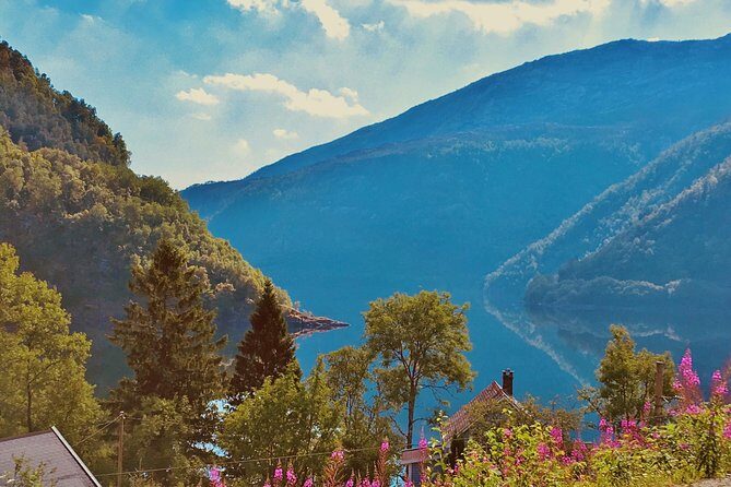 PRIVATE GUIDED TOUR: Highlights of Norway  Trip to the Sognefjord  SUMMER - Who Is This Tour Best For?