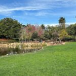 Private Guided Tour in Santa Barbara on Electric Bikes - What Makes the Experience Special