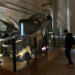 Private Guided Tour of Natural History Museum - Skip the Line - Why Do People Love This Tour?