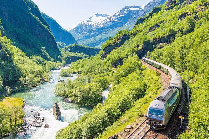 Private guided tour - Premium Nærøyfjord Cruise and Flåm Railway - Who Is This Tour Best For?