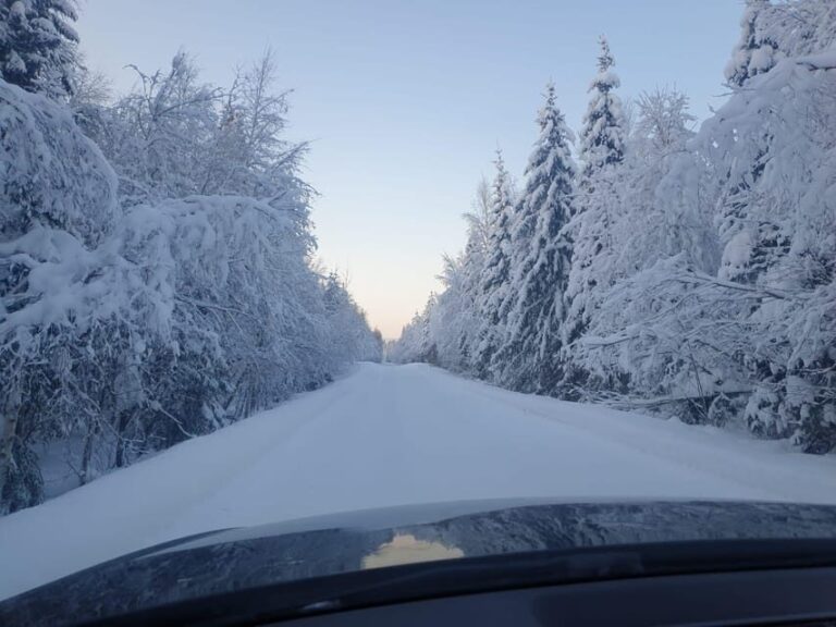 Private Guided Tour Rovaniemi To Kakslauttanen /Saariselka - What Makes This Tour Special?