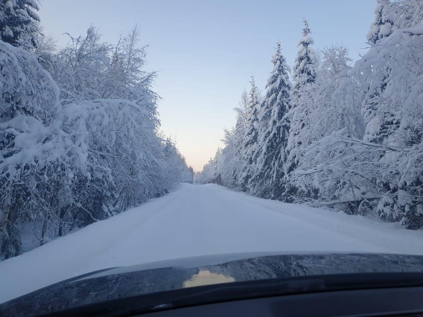 Private Guided Tour Rovaniemi To Kakslauttanen /Saariselka - What Makes This Tour Special?