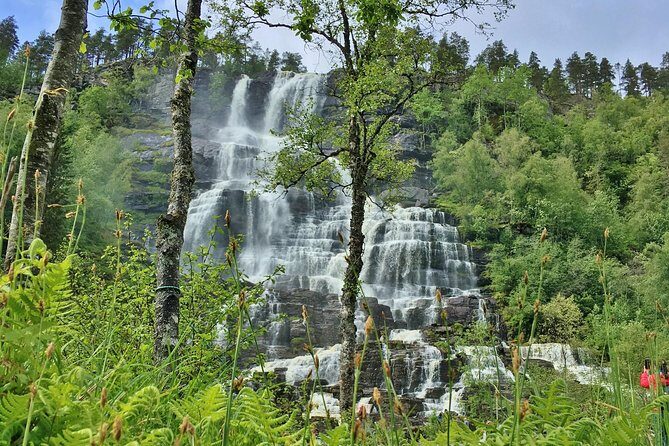 PRIVATE GUIDED TOUR: The Heart of Norway  Viking Special, 8-9 hours  SUMMER - Gudvangen: The Heart of the Fjord Region