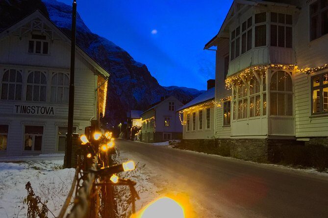 PRIVATE GUIDED TOUR: The Heart of Norway  Viking Special, 8-9 hours  WINTER - What to Keep in Mind