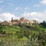 Private Guided Tour to Pisa and local Wine Farm from Livorno port - Exploring Pisa: The Leaning Tower and Beyond