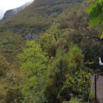 Private Guided Walk Levada 25 Fontes - About the Experience Provider