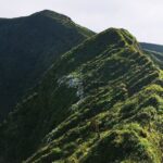 Private Half-Day Hike around the Caldeira - What to Expect from This Caldeira Hike