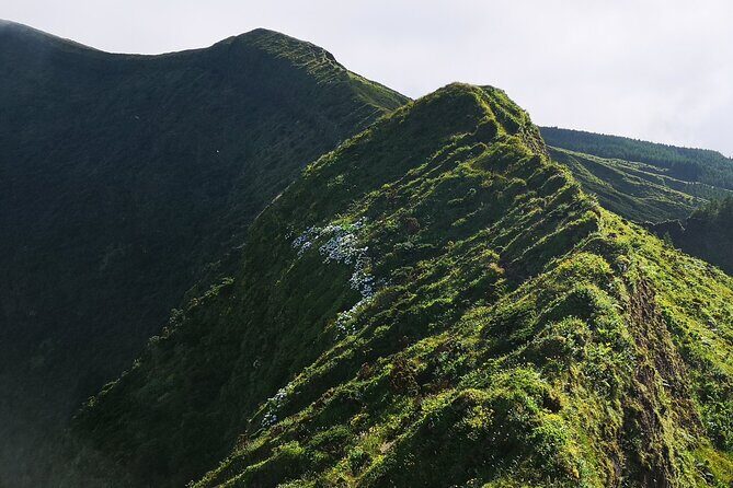 Private Half-Day Hike around the Caldeira - What to Expect from This Caldeira Hike