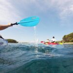 Private Half-Day Kayak Experience in Hvar and Pakleni Islands - What to Expect on the Water