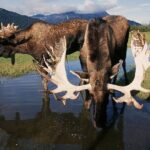 Private Half-Day Nature Tour from Anchorage - A Closer Look at the Tour Experience