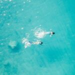 Private - Half day sailing on a modern 36ft from Zadar (up to 8 travellers) - How Much Is It and Is It Worth It?