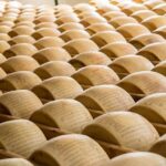 Private half day tour in Parma - Key Points