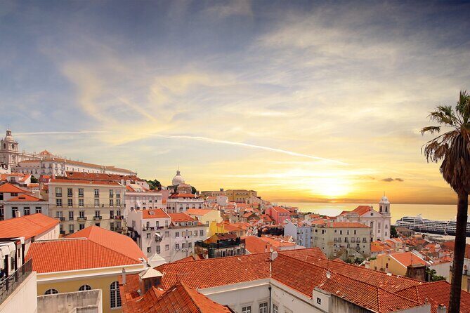 Private Half-Day Tour of Historic Lisbon - Who Is This Tour Best Suited For?