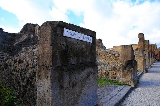 Private Half-Day Tour of The Pompeii Ruins Highlights and Mann - The Value of Guided Tours with Skip-the-Line Access