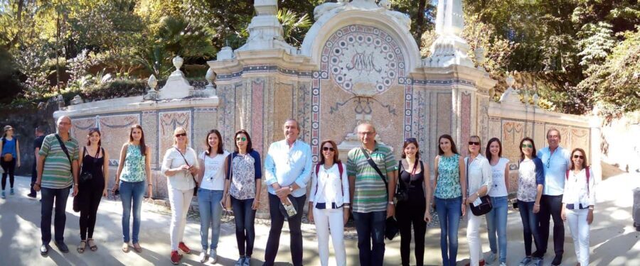 Private Half Day tour Sintra Pena Palace & Initiantion Well - Who Is This Tour Best For?