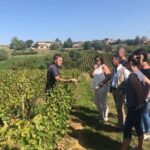 Private half-day tour to Golden Stone Beaujolais with tastings - Is It Worth the Price?